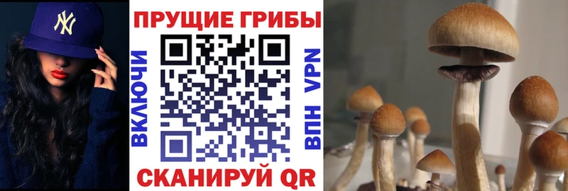 Псилоцибиновые грибы MAGIC MUSHROOMS это телеграм Одинцово